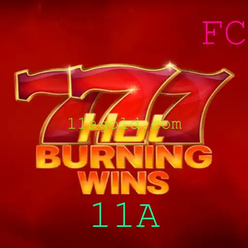 Explorando a Aventura do Jogo HotBurningWins
